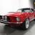 1967 Ford Mustang GT350 Tribute