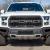 2017 Ford F-150 4WD SuperCrew 145" WB Raptor 802A 3.5 EcoBoost