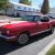 1966 Ford Mustang -Utah Showroom