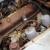 1965 Austin Healey 3000 Restoration or Parts Vehicle