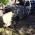 HOLDEN Hg  kingswood unfinished project sand blasted ht hk Monaro buyers premier