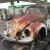 VW oval beetle 1954
