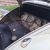 1964 Volkswagen Beetle - Classic STEEL SUNROOF-FLIP REAR WINDOWS