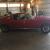 1967 Ford Mustang -FASTBACK REAL A CODE PONY WITH 2+2 OPTION-BUILT I