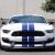 2016 Ford Mustang Fastback Shelby GT350R