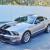 2008 Shelby GT500 MUSTANG SHELBY  SNAKE GT 500