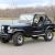 1979 Jeep CJ