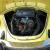 1974 Volkswagen Beetle - Classic