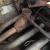 1953 Fiat Other --