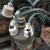 1953 Fiat Other --
