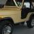 1979 Jeep CJ wrangler