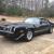 1981 Chevrolet Camaro Z28