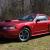 2004 Ford Mustang GT-5 Speed