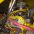 1980 Jeep CJ