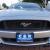 2015 Ford Mustang GT 5.0 6SPD RECARCO SEATS NAV BACKUP CAM 1-OWNER ONLY 6K MILES
