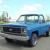 1979 Chevrolet C/K Pickup 1500 CHEVY 1/2 TON 4 WD