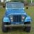 1979 Jeep CJ