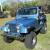 1979 Jeep CJ