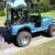 1979 Jeep CJ