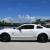 2007 Ford Mustang Shelby GT