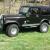 1981 Jeep CJ cj7