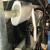 1981 Jeep CJ cj7