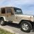 1995 Jeep Wrangler Sahara