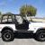 1976 Jeep CJ  CUSTOM BUILT - IT'S  FAST & FUN