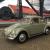 Volkswagen: Beetle - Classic Standard