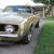 1969 Chevrolet Camaro SUPER SPORT
