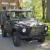1991 Mercedes-Benz G-Class WOLF 250