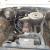 1977 Holden HX Utility, runs and drives, 6 cyl, 3 on tree, good for parts only