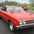1967 Chevrolet Chevelle SS-NEW RED PAINT-ALL ORIGINAL NUMBERS MATCHING- SE