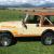 1984 Jeep CJ RENEGADE