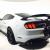 2016 Ford Mustang Shelby GT350R | Stripes | Navigation | Rear Camera