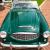 1957 Austin Healey 100-6 Roadster