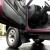 1995 Nissan Other Pickups Nissan, Other, Pickup, 4x4, SE, SUV, EFI, 3.0'L,