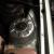 OPEL MONZA /MONARO 2 DOOR  BROCK TYPE