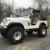 1980 Jeep Wrangler