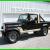 1981 Jeep CJ