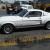 1967 Ford Mustang Fastback 1967 GT350 Tribute