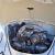 1962 Volkswagen Beetle - Classic Rag Top