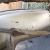 1955 Chevrolet Bel Air/150/210