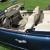 1998 Mercedes-Benz SL-Class