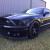 2009 Ford Mustang Gt500