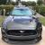2015 Ford Mustang Gt Performance Package
