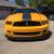 2013 Ford Mustang Boss 302 LS
