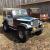 1981 Jeep CJ