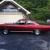 1967 Ford Other mercury cyclone gt look alike
