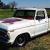 1973 Ford F-100